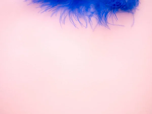 Pluma azul sobre fondo rosa pastel — Foto de Stock