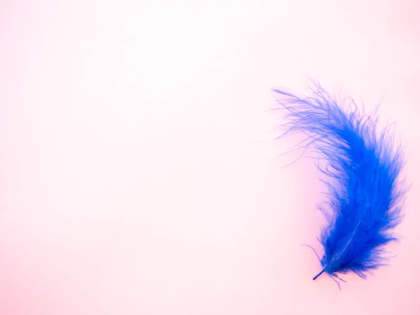 Pena azul em um fundo rosa pastel — Fotografia de Stock
