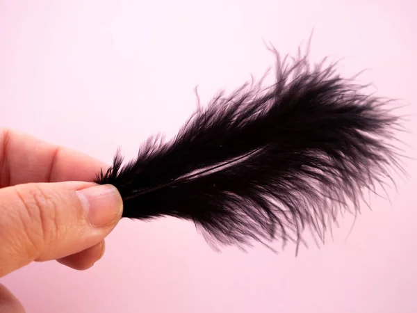 One person with a black feather on her hand and a pastel pink background — Stock Photo, Image