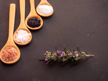 Tahta kaşıklar Himalaya tuz, siyah hawaii tuz, ortak tuz, tuz pul ve bir biberiye ile kayrak bir tabağa dal