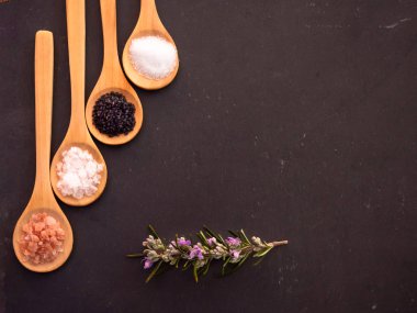 Tahta kaşıklar Himalaya tuz, siyah hawaii tuz, ortak tuz, tuz pul ve bir biberiye ile kayrak bir tabağa dal