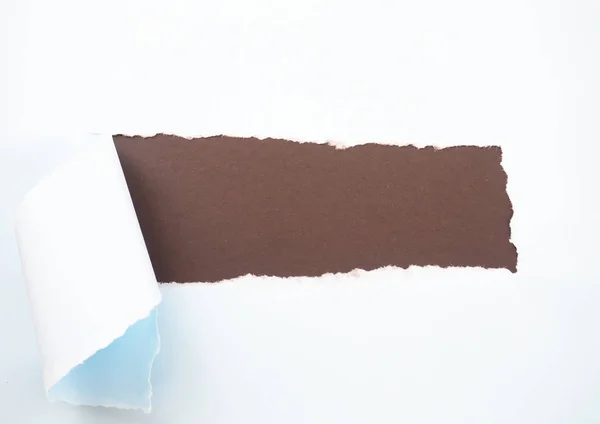 Torn pastel papel azul aislado en marrón — Foto de Stock