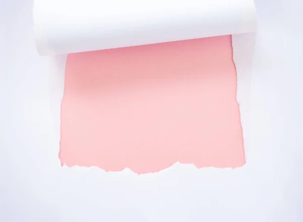 Livro branco rasgado isolado em rosa pastel — Fotografia de Stock