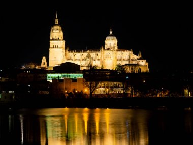 Salamanca Katedrali ve Enrique Estevan köprü uzun pozlama gece görünümü (İspanya)
