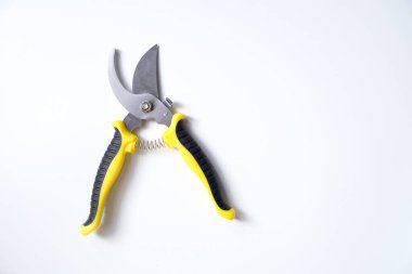 Budama makası, bahçe aletleri, beyaz arkaplanda izole edilmiş.