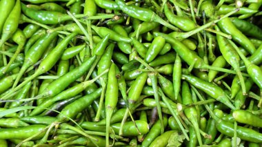 Arka planda taze yeşil biber manzarası. Güney Asya mutfağı