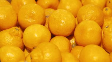 Bir sürü Küçük Mandalina Taşıma Çekimi