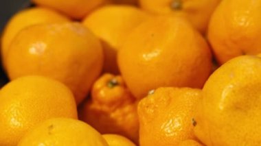Bir sürü Mandalina Taşıma Çekimi 4k Macro