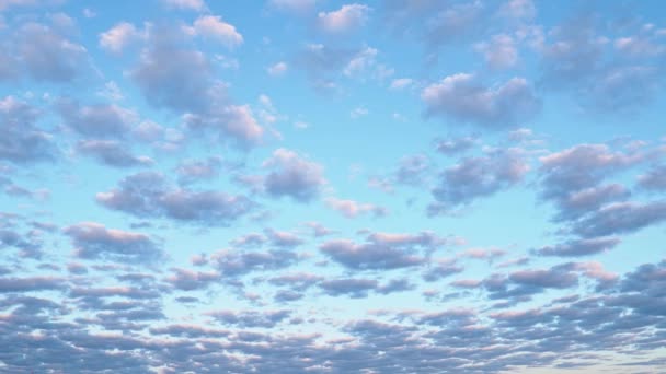 Cielo azul y muchas nubes pequeñas en el fondo. Nubes Timelapse — Vídeo de stock