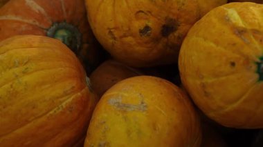 Taze turuncu balkabakları mağazanın tezgahında yatıyor.