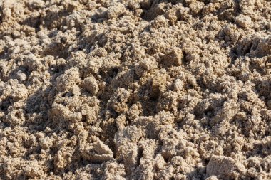 Altın kum yaz arka plan için kabukları ile