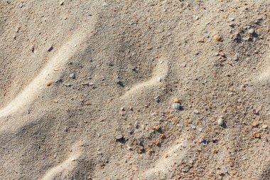 Altın kum ile Martı yaz arka planı için