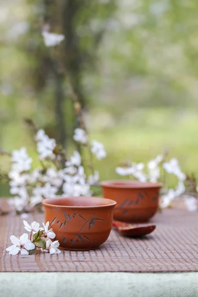 The traditions of Oriental tea drinking — Stock Photo, Image