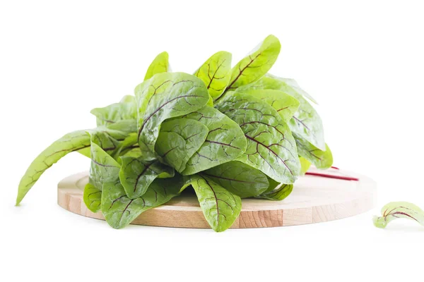 Fresh sorrel leaves for a variety of summer recipes — Stock Photo, Image