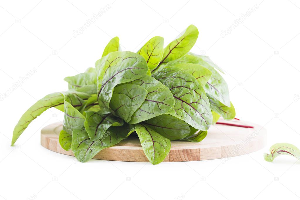fresh sorrel leaves for a variety of summer recipes
