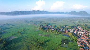 Semeru Dağı 'nın çarpıcı manzarası Teras Semeru' dan yeşil tarlalar, sisli vadi ve mavi gökyüzü ile huzurlu ve görkemli bir doğal manzara yaratıyor..