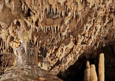 A lot of small stalactites and one big stalagnate in a limestone cave. Sloup-Sosuvka caves in Moravian Karst. Sloup town, Moravia, Czechia. http://www.cavemk.cz/sloupsko-sosuvske-caves/