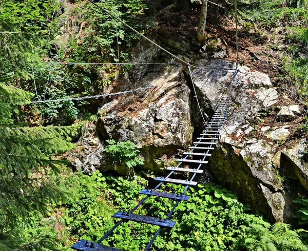 Adventure via ferrata hiking trail with a rope bridge over a gorge with green plants. Wild nature with trees, plants and rocks are in the gorge. Hiking trail is secured by a steel rope. Slovakia, national park Fatra mountains.