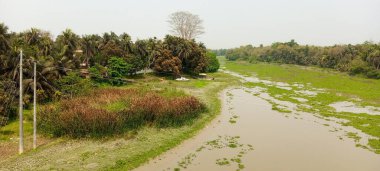 Parktaki nehrin güzel manzarası