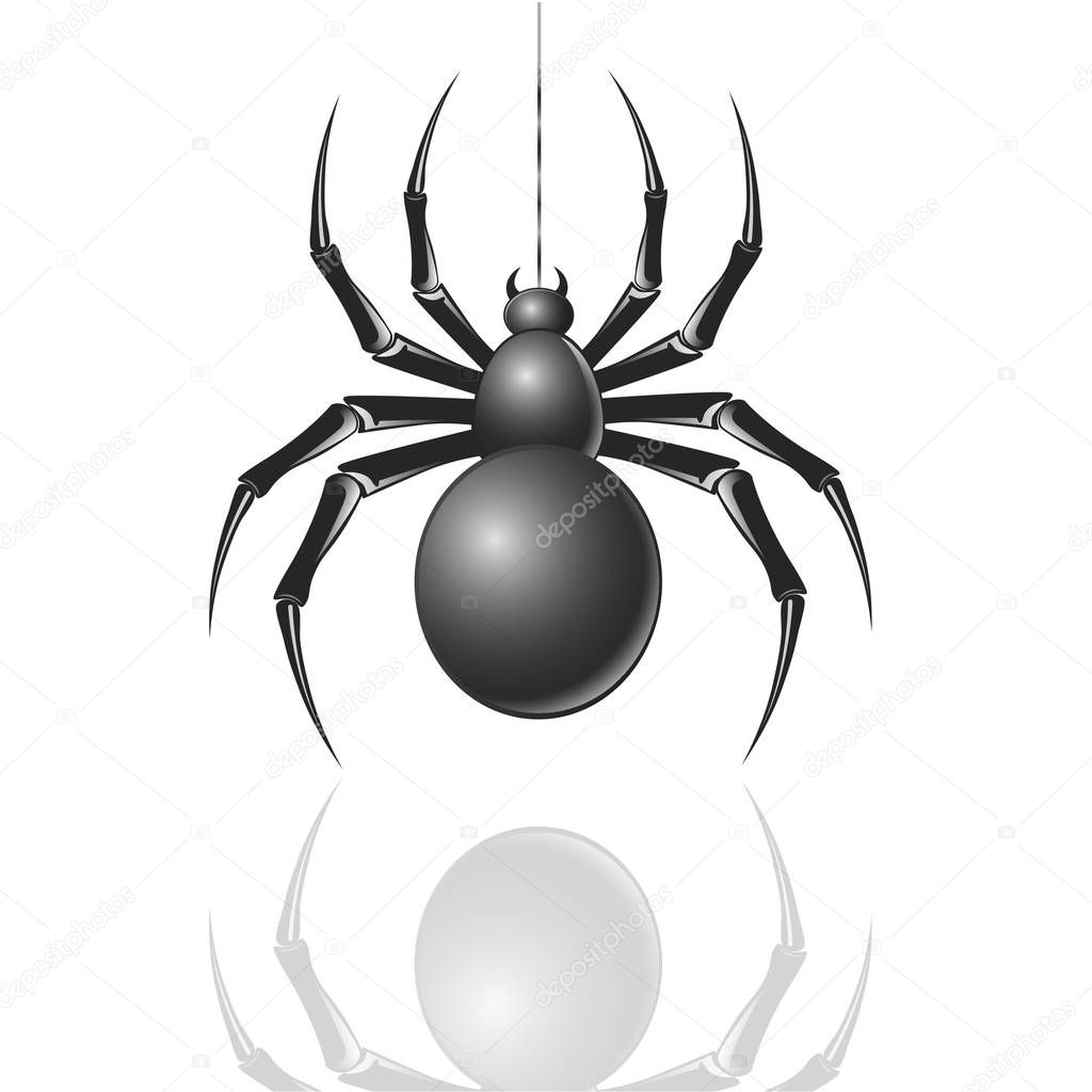 Spider on a web on a white background, eps 10