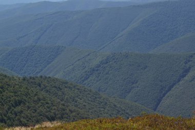 Yazın güzel dağ manzarası