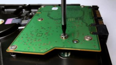 sökme torx tornavida ile bir sabit disk