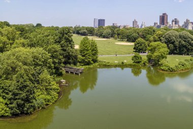 güneşli bir gün, new york city Central Park'ta