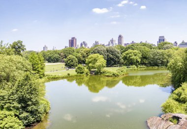 güneşli bir gün, new york city Central Park'ta