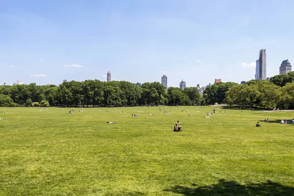 Gente Tomando Sol Central Park Nueva York — Foto de Stock