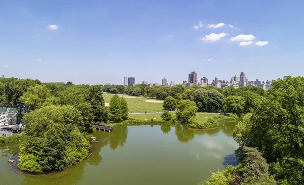 güneşli bir gün, new york city Central Park'ta