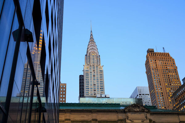 Вид на хризантемы на закате с 42-го
