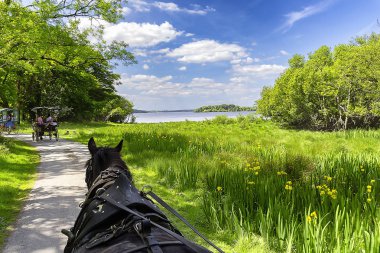 View from horse-drawn carriage by Killarney national park clipart