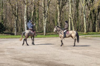Paris, Fransa - 14 Mart 2018: Kadın ve erkek Paris, Fransa'da ormanda at binme