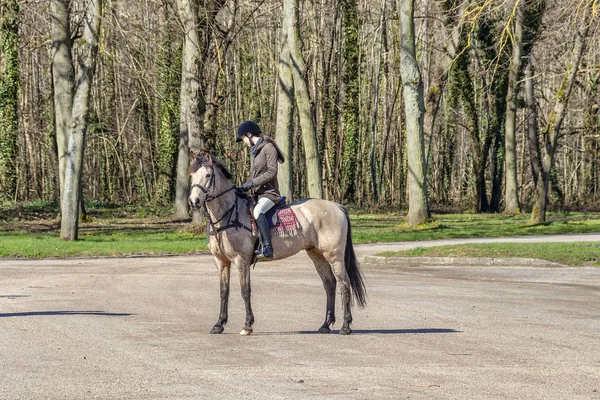 Paris France March 2018 Woman Riding Horse Woods Paris France — Stock Photo, Image