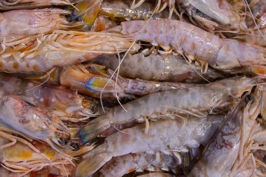 Doku karides, deniz ürünleri (Langostinos de Isla Cristina, Huelva) 