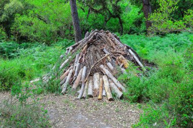Güzel manzara Donana Tabiat Parkı ve doğa rezerv. Huelva, Andalusia İspanya Acebron Sarayı
