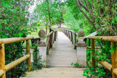 Ahşap yolu güzel manzara Donana Tabiat Parkı ve doğa içinde saklıdır. Huelva, Andalusia İspanya Acebron Sarayı
