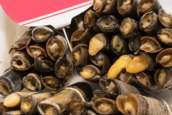 Textura Amêijoas Frutos Mar Navajas Isla Cristina Huelva — Fotografia de Stock