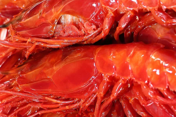 Detail Hlavy Čerstvé Velké Červené Krevety Mořské Plody Carabineros Isla — Stock fotografie