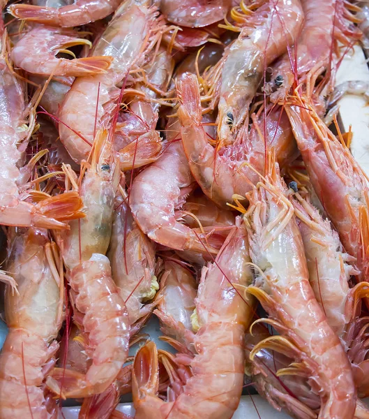 Textury Krevety Mořské Plody Gambas Blancas Isla Cristina Huelva — Stock fotografie