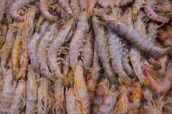 Textury Garnátů Krevet Mořské Plody Langostinos Isla Cristina Huelva — Stock fotografie