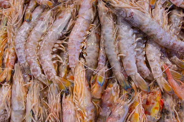 Textury Garnátů Krevet Mořské Plody Langostinos Isla Cristina Huelva — Stock fotografie