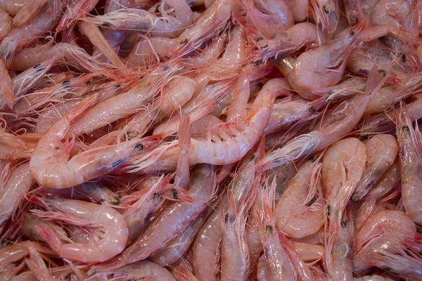 Textury Krevety Mořské Plody Gambas Blancas Isla Cristina Huelva — Stock fotografie
