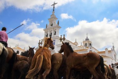 Mares olay El Rocio hermitage, küçük köy Almonte, Huelva, Endülüs, İspanya 