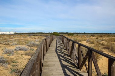 Ahşap geçit üzerinde plaj kum tepeleri. Andalusia, İspanya doğal bir alan içindeki Huelva Beach, plaj yolu