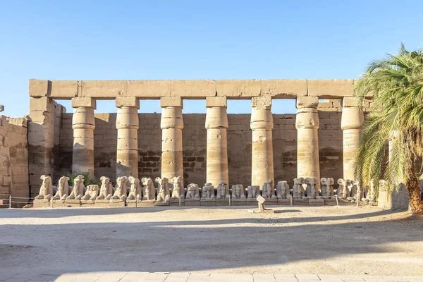 Entrada Templo Luxor Gran Complejo Templos Del Antiguo Egipto Ubicado —  Fotos de Stock