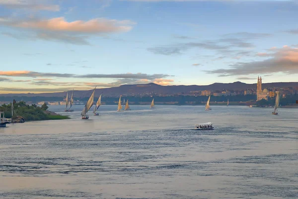 Feluccas Sailing Nile River Sunset — Stock Photo, Image