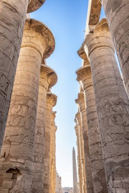 Karnak Tapınağı Karnak bilinen karmaşık, çürümüş tapınaklar, Şapel, dikmesi ve Luxor, Mısır'daki yakınındaki diğer binalar geniş bir karışımı oluşur