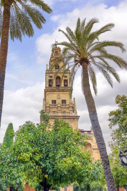 Cordoba Camii-katedral çan kulesi. Özgün Müslüman minare bu yapının görüntü ve Cordoba, Endülüs, İspanya profili önemli bir rol oynamıştır