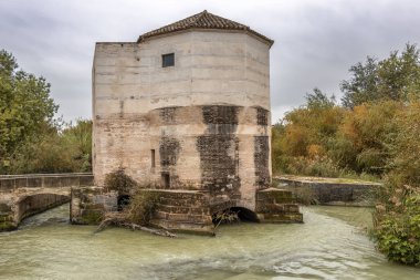Cordoba, Andalusia Guadalquivir Nehri üzerinde eski su değirmeni